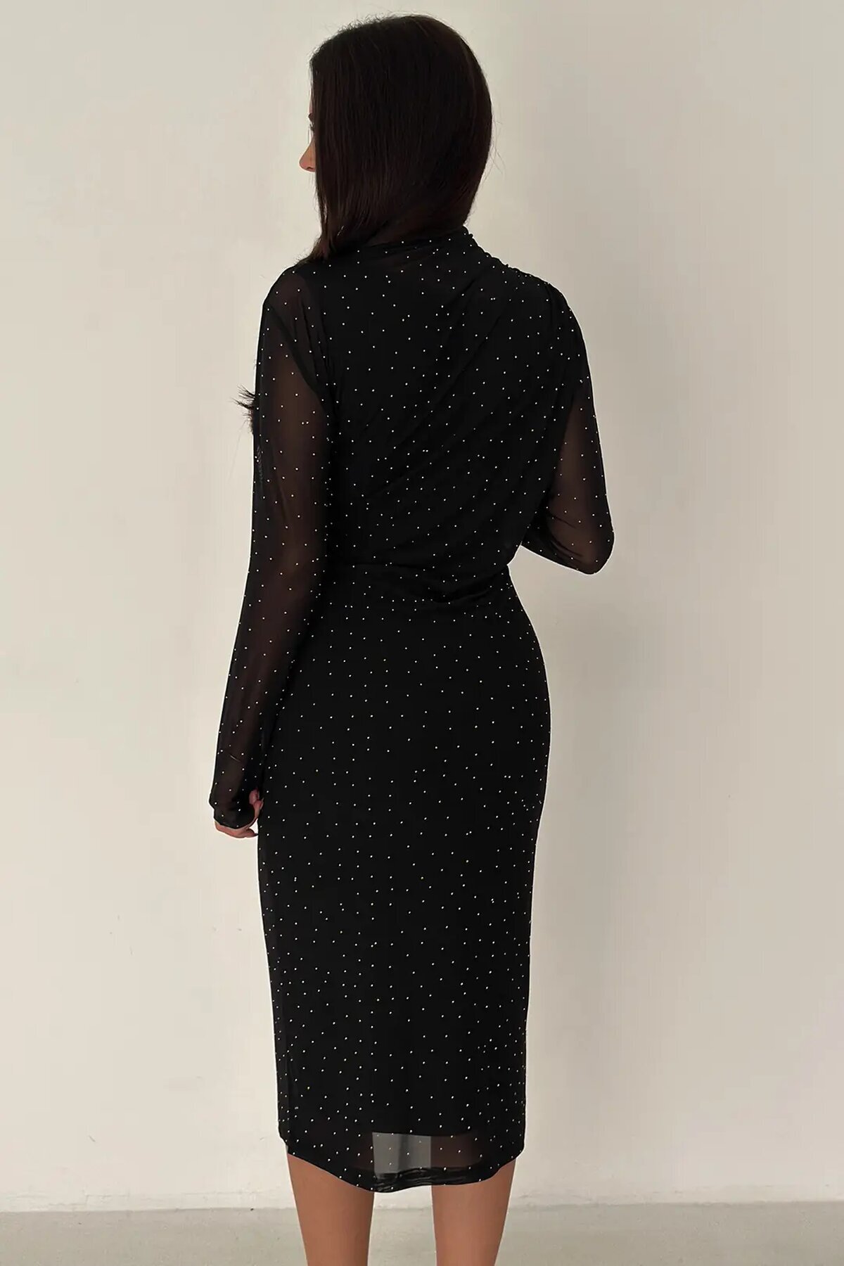 Kadın Puantiye Desenli Transparan Kollu Elbise