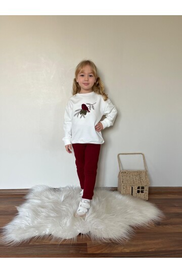 Kız Çocuk Baskılı Alt Üst Eşofman Takım