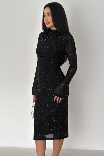 Kadın Puantiye Desenli Transparan Kollu Elbise